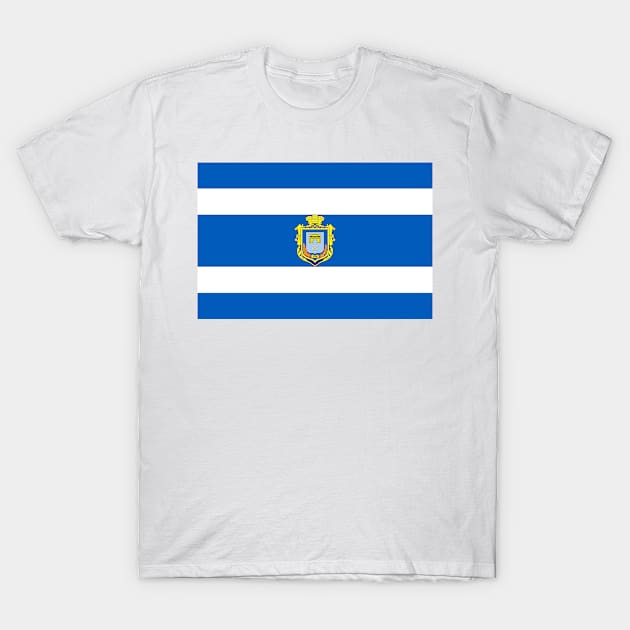 Flag of Kherson (Ukraine) T-Shirt by Ziggy's